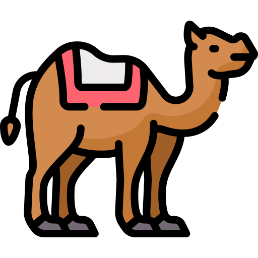 Camel Special Lineal color icon