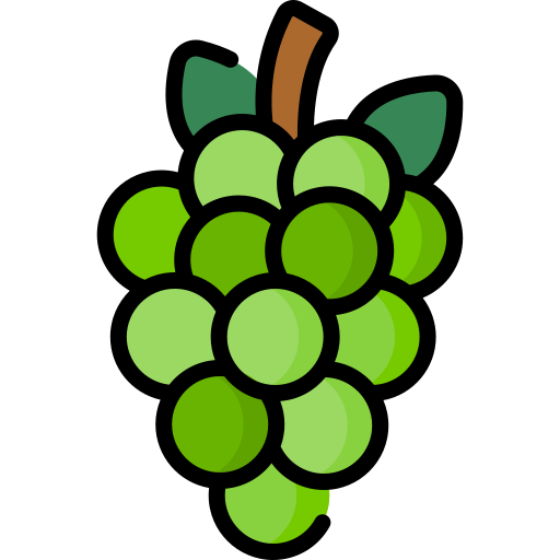 Grapes Special Lineal color icon