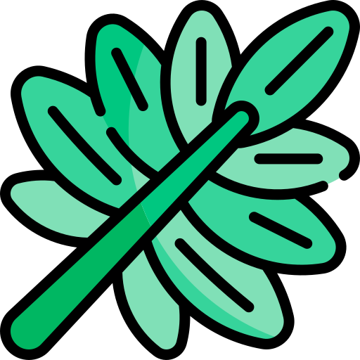 Palm leaf Kawaii Lineal color icon