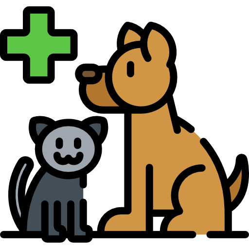 Veterinary Special Lineal color icon