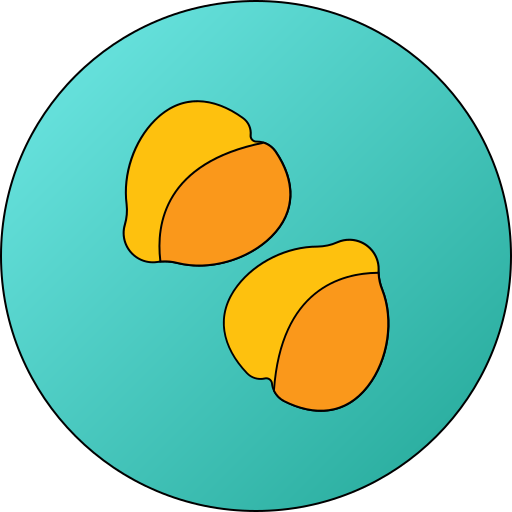 garbanzos Generic gradient lineal-color icono