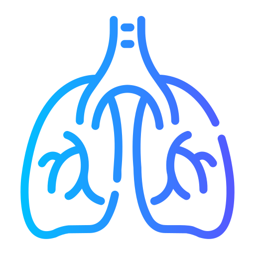 płuca Generic gradient outline ikona