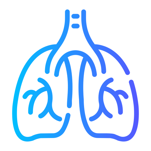 Lungs Generic gradient outline icon