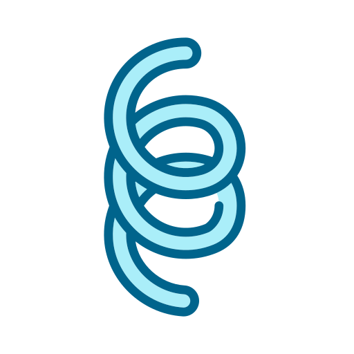 espiroqueta Generic color lineal-color icono