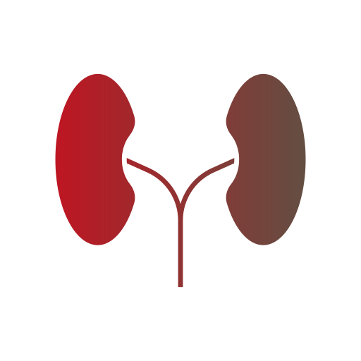 Kidneys Generic gradient fill icon