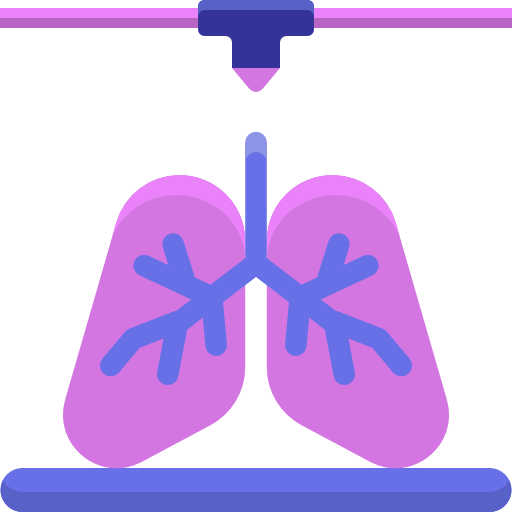 肺 Flaticons.com Lineal Color icon