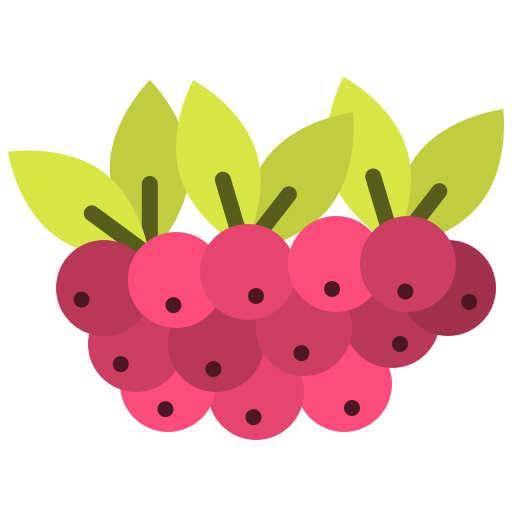 Berry Generic Others icon