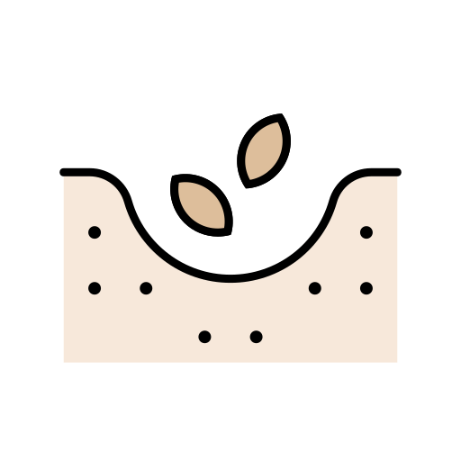 semilla Generic color lineal-color icono