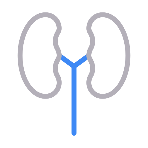 organes Generic outline Icône