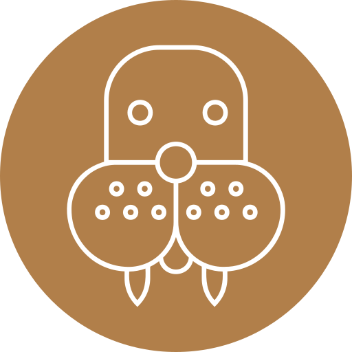 바다 코끼리 Generic color fill icon