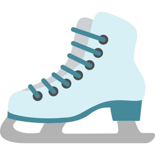Skates Generic color fill icon