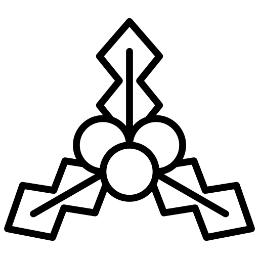 홀리베리 Generic black outline icon