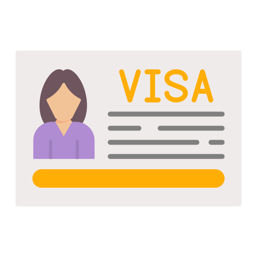 visa Generic color fill Icône
