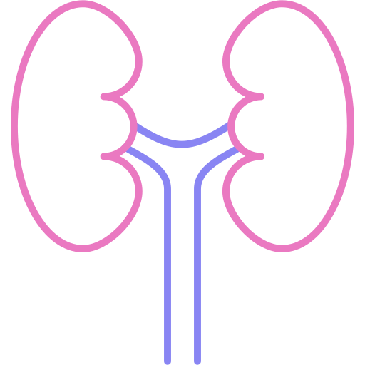 Urology Generic color outline icon
