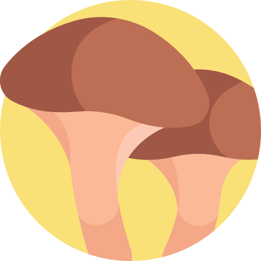 paddestoel Detailed Flat Circular Flat icoon
