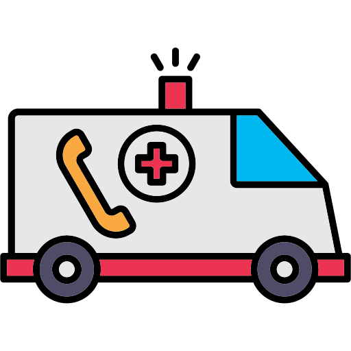 Emergency Generic color lineal-color icon