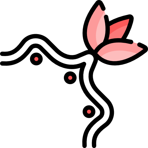 꽃 무늬 Special Lineal color icon
