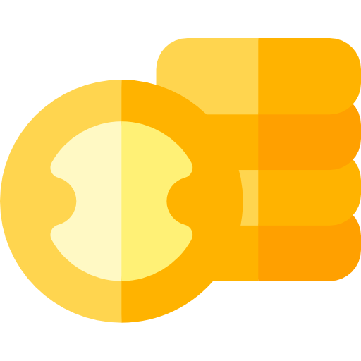 geld Basic Rounded Flat icoon