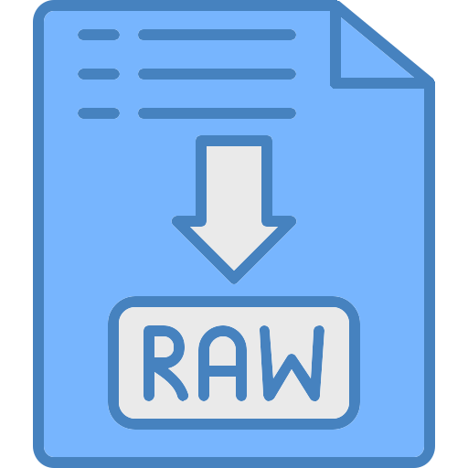 Raw file Generic color lineal-color icon