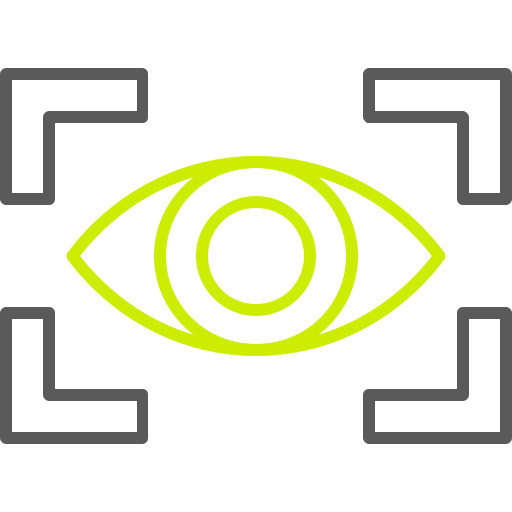 Vision Generic color outline icon