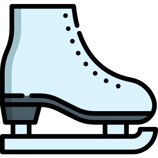 Skates Special Lineal color icon