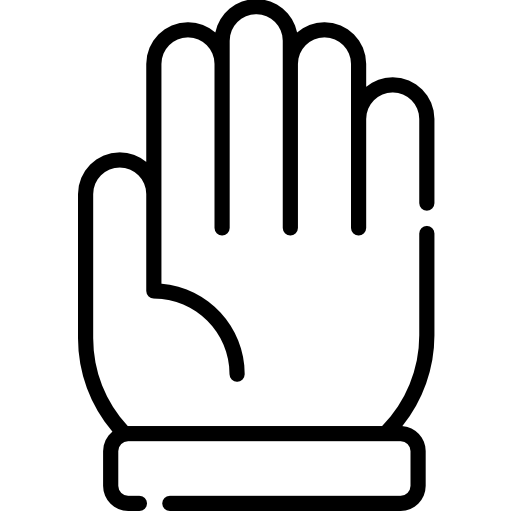 グローブ Special Lineal icon