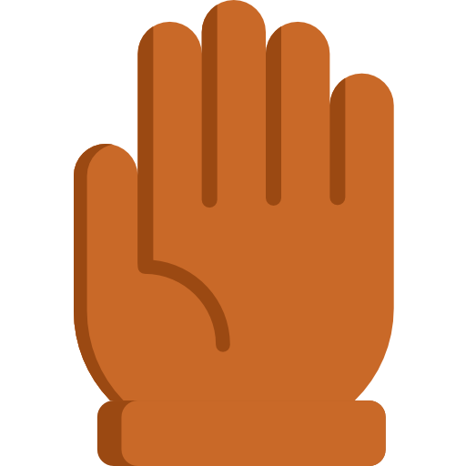 rękawica Special Flat ikona