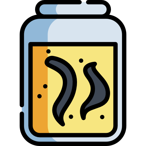 Leech Special Lineal color icon