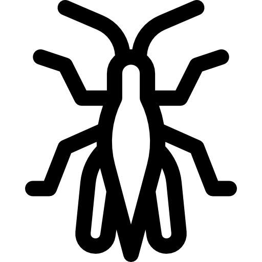 메뚜기 Basic Rounded Lineal icon