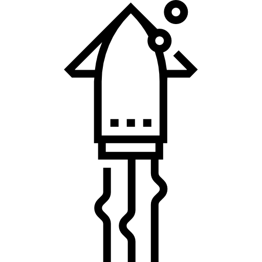 calamaro Detailed Straight Lineal icona
