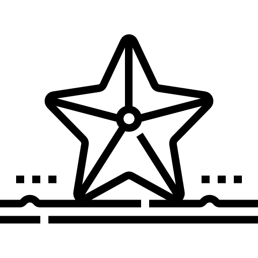 estrella de mar Detailed Straight Lineal icono