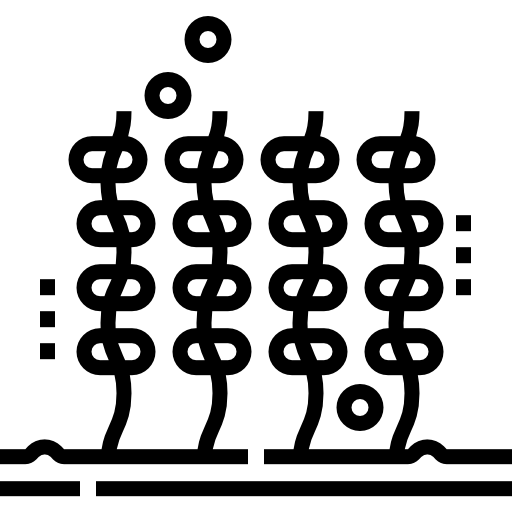 해초 Detailed Straight Lineal icon