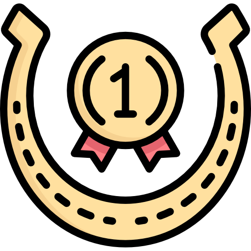 Horseshoe Special Lineal color icon