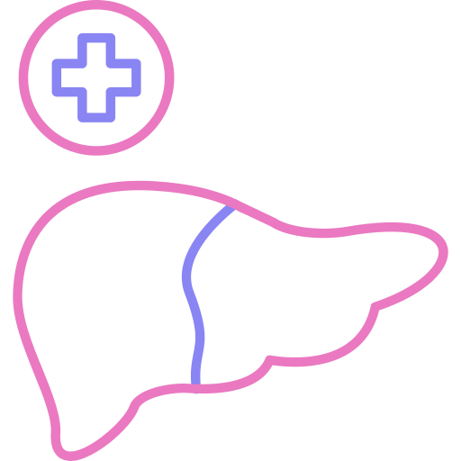 肝臓 Generic color outline icon