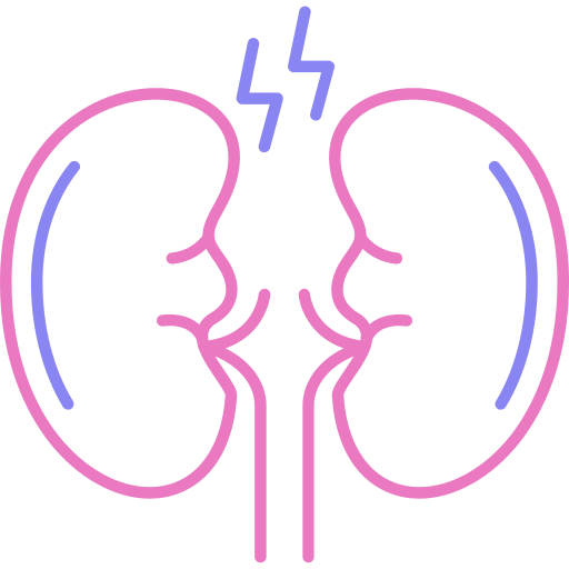 Kidney Generic color outline icon