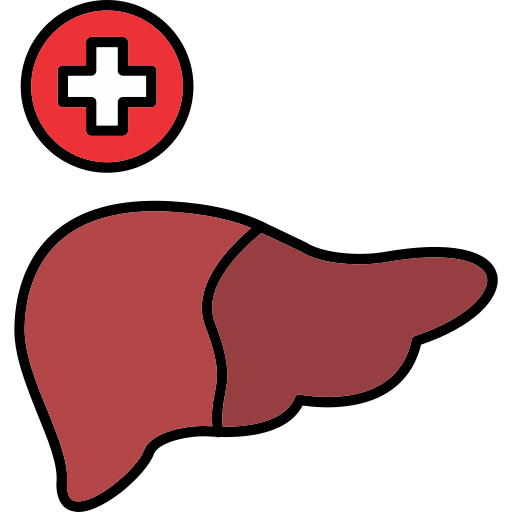 肝臓 Generic color lineal-color icon