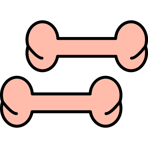 knochen Generic color lineal-color icon