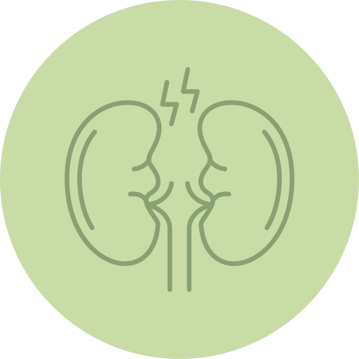 Kidney Generic color fill icon