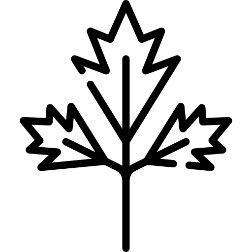 perejil Special Lineal icono