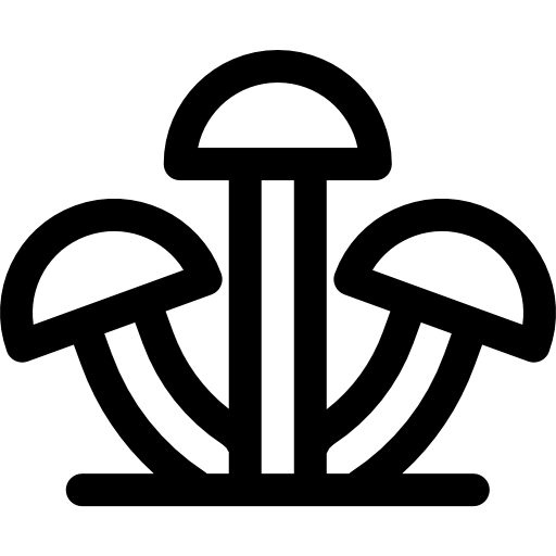 菌類 Basic Rounded Lineal icon