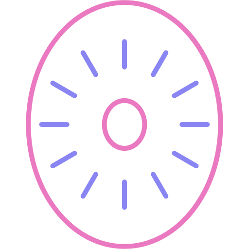 키위 Generic color outline icon