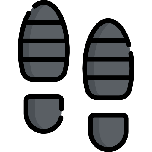 발자국 Special Lineal color icon