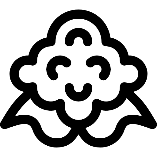 kalafior Basic Rounded Lineal ikona