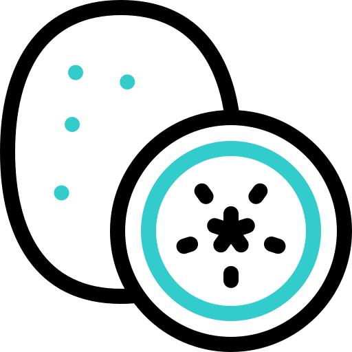 kiwi Basic Accent Outline icona