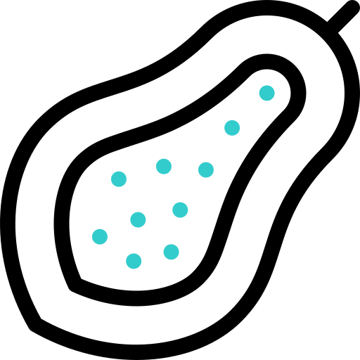 열대 과일 Basic Accent Outline icon