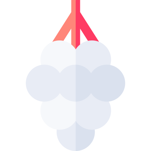baneberry Basic Straight Flat icono