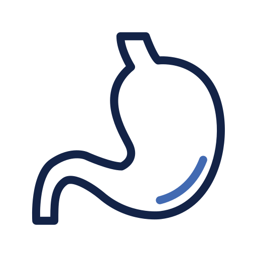 Stomach Generic color outline icon