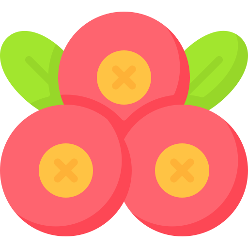 Cranberry Special Flat icon