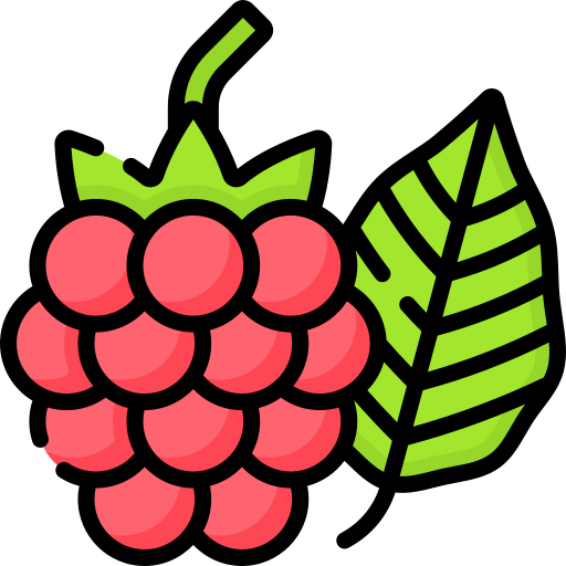 산딸기 Special Lineal color icon