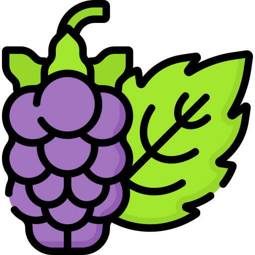 Loganberry Special Lineal color icon
